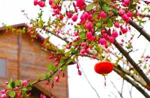 Give Yourself a 'Splash of Color' This Spring!