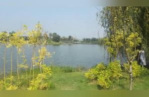 The Precious Pearls of Suibei – Lama Lake