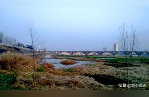 Entrusting the beauty of spring to the wings of migratory birds is a contemplation of time.