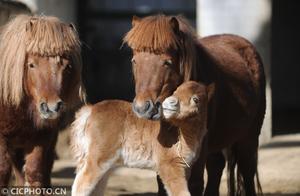 Spring Arrives, New Babies Report for Duty