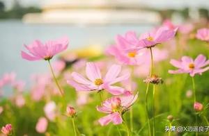 Love treated with all your heart, even if it's just a cherished memory, it's a feeling that touches the heart deeply.