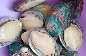 Authentic Recipe for Guangdong Braised Chicken with Abalone