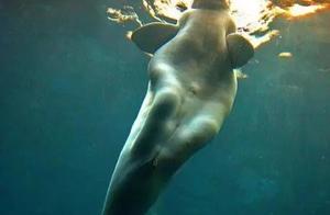 Interesting pictures prove that the world is marvelous.