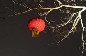 Melancholy Weaves a Curtain Veil