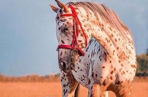 Cutest Photos in the Animal Kingdom - So Relaxing! Let's Hope We Can Always Coexist with Them