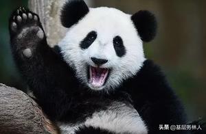 Which of these animals are classified as national first-level protected species?
