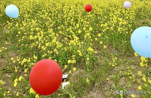 Where to Go Spring Hiking in Jinan? Let's Go See the Rapeseed Flowers! Many People Don't Know Where!