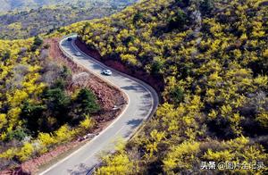 Longzicheng, Shanxi: Mile Lianyu Corridor in Bloom; Lush Spring in the Taihang Mountains Entices Travelers