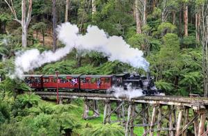 Harry Potter-Style Australian Old Steam Train: A Relaxing and Simplified Travel Experience