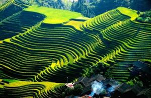 April is Here, Are You Ready to Visit the Terraced Fields?