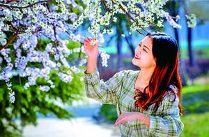 Most Beautiful Longkou Spring Bloom