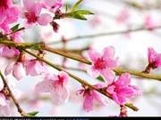 Going to Spring on the Subway – Spring Within