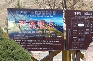 Scenic Area Takes Multiple Measures to Solidify Fire Protection Barriers