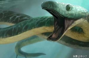 The Ancestors of Snakes Were It, Ancient Snakes Were Like This