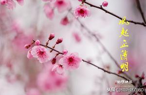 Revisiting Spring Colors, Longing for You