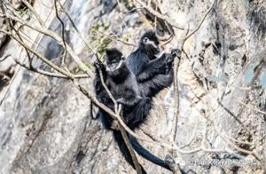 They're Coming, They're Coming: A Group of Adorable Little Creatures Looked at Us, Tilting Their Heads and Looking Cute