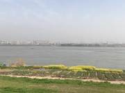 Returning Home – A Full Spring