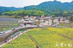 Shunxing Nanyang: Rapeseed Flowers in Full Bloom, Beautiful Countryside Like Poetry and Painting