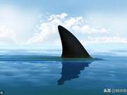 Earth's Six Great Sharks: The Birth of Modern Marine Killing Machines