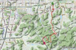 Take a Stroll Through Zanglongjian Stream, the Primitive Forests of Jinan City – A Place Many Don't Know About