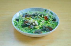 Several Vegetables for a Delicious Meal, Refreshing, Appetizing, and Easy to Cook for the Whole Family