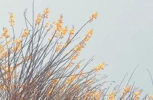 Life is Fragile, Life is Unconstant, Cherish It While It Lasts!