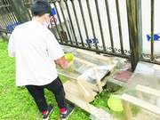 8-Year-Old Boy in Zhangzhou Builds Small Shelter for Stray Cats