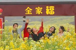Jiazijiao Ridge’s Rapeseed Flowers Compare to Wuyuan