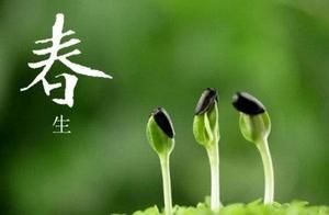 Poetry Appreciation / Spring Battle by Ma Zhan