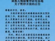 Chengdu Giant Panda Breeding Research Base Suspends Operations