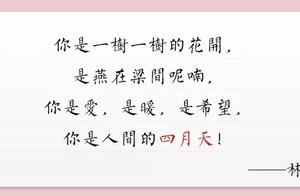 The Most Beautiful April Days | Treasures of Wudang Ban Village