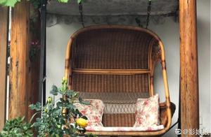 Having a Small Courtyard and Nurturing Flowers and Grasses – That's All That Matters
