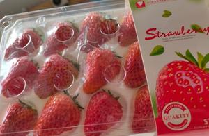 Dandong Strawberries