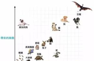 When You Said Owning a Dog Wouldn't Cost Money, Now the Whole Family Thinks I'm Trading Stocks