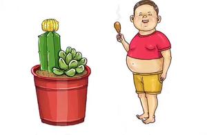 Let's Talk About Men's Fat Loss