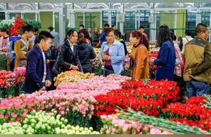 Kunming City Tour: Day Trip to Recommended Spots!