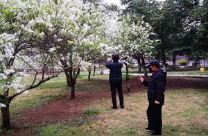Finding the Most Beautiful ‘April Days’ in Zhaozhuang | The World Outside is Wonderful
