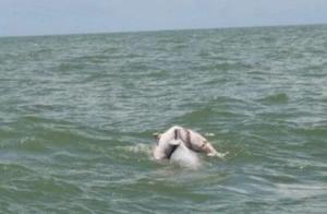 A white object floats on the sea, the ship approaches and examines it closely.