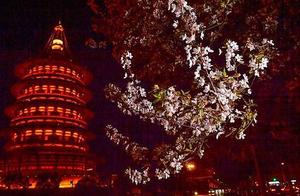 Luoyang: Blooming Flowers and Beautiful Night