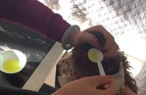Teddy Gets Sick and Resists, Grandma's Forceful Intervention Stuns Everyone: Quick and Decisive!