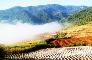 It’s better to go for a spring outing than to wait for spring to come; experiencing the Yangchun Spring in Yunnan Ximeng, where spring is found everywhere like warm sunshine.
