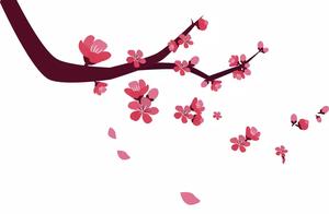 A Comprehensive Tourism Experience of Guangping – Spring in E’cheng