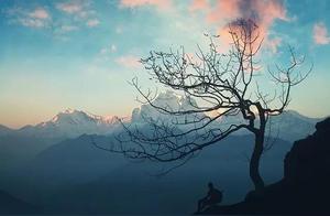 Life is too short, but it's too late to understand.