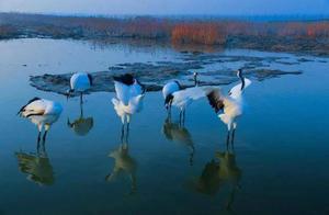 Jiangsu Launches Post-Epidemic Boutique Tourism Route Collection Activity