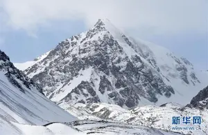Spring Balsam Snow Mountain