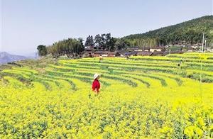 Zhenghe County vigorously develops rural tourism to support rural revitalization