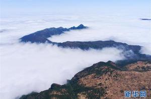 Spring in Wuyi: Ecological Beauty
