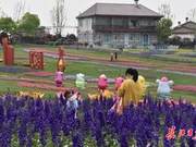 Wuhan Flower Expo Park Celebrates Full Bloom, Visitors Must Show Health Codes