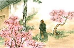 The Most Beautiful Spring