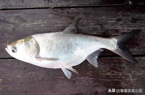 How to Avoid Fish Sticking to the Pan When Frying – A Little Trick for Fish Lovers